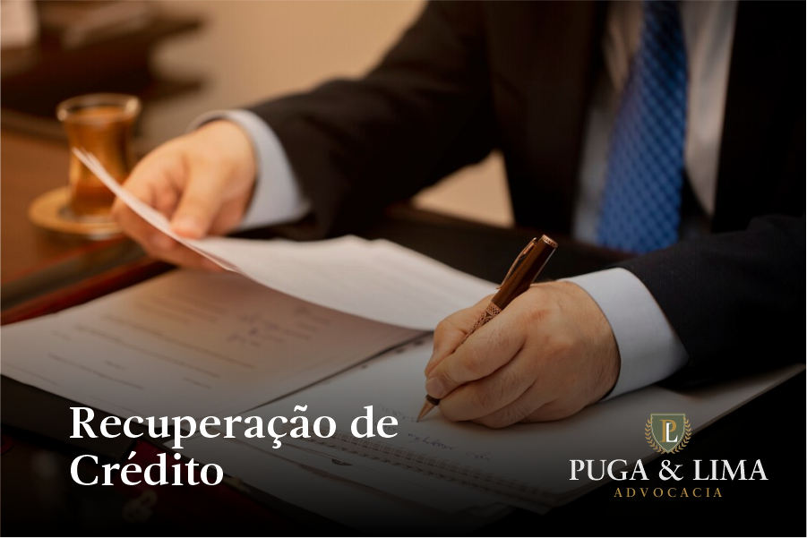 Defesa em Execuções, Recuperação de Crédito e Bloqueios Judiciais | Recuperação de Crédito | Puga & Lima Advocacia